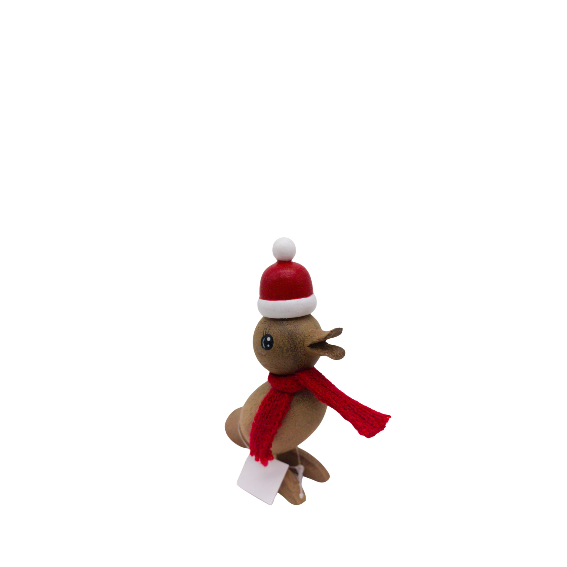 Ente mit Schal und Weihnachtsmütze